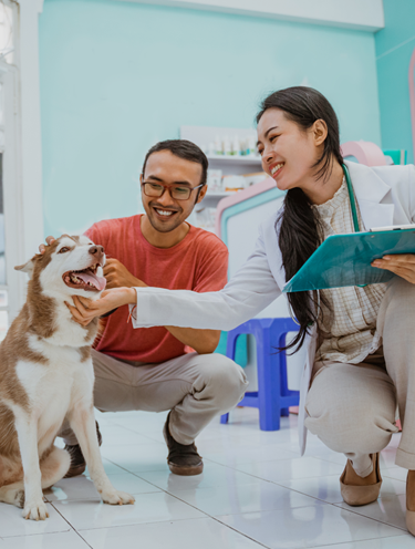 Petcare